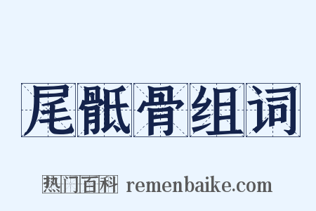 尾骶骨组词是什么意思的图片